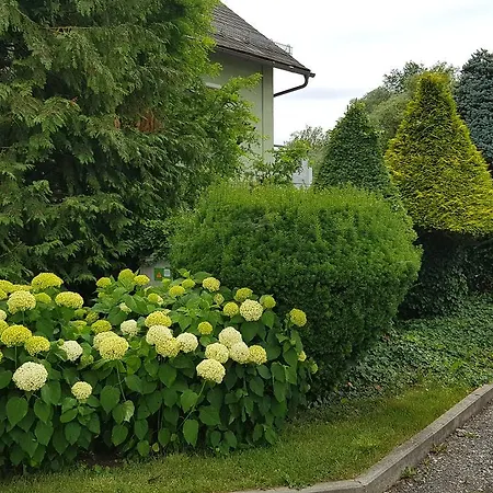 Km Murtal Gasthuis *